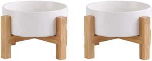 Ceramic Elevated Raised Cat Bowls &...