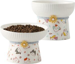 2 Pcs Elevated Ceramic Cat Bowl Rai...