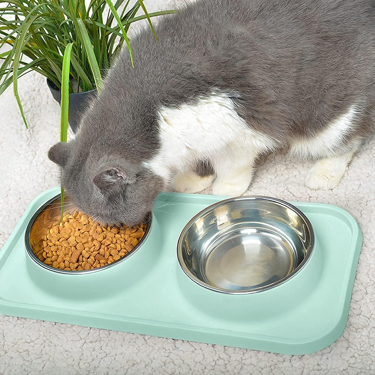 Cat Food Bowls, Bowls Non-Skid and Non-Spill Silicone Mats with Stand, Removable Stainless Steel Water Dishes for Cats, Small Size Dogs - Image 6