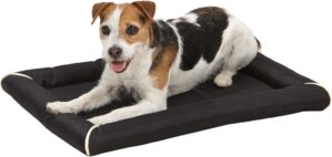 MidWest Homes for Pets QUIET TIME M...