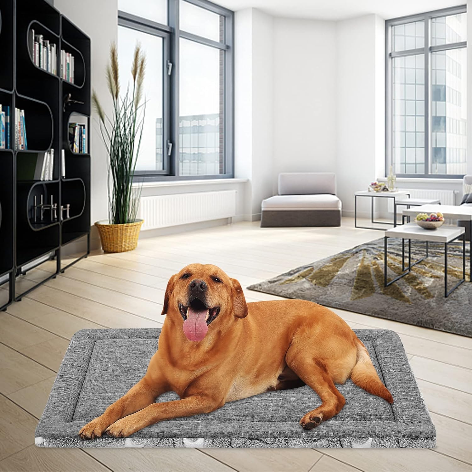 EMPSIGN Fancy Dog Bed Mat(107 * 71 * 2.8cm), Pet Mat Crate Pad Reversible (Cool & Warm), Machine Washable, Pet Sleeping Mat for Dogs up to 40kg, Grey, Star Pattern - Image 5
