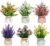 ALMEKAQUZ 6Pcs Artificial Pot Flowers, Small Fake Plants with Pot, Mini Potted Plants for House, Office, Tabletop Decoration