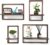 PHOENANCEE Square Floating Shelves,Framed Wall Shelf Decorative Set of 4,Modern Plants Hanging Display Art Decor Storage for Livingroom Bedroom Bathroom Farmhouse,Home Light Wood(Dark Walnut)